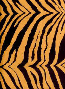 Tiger Futon Cover