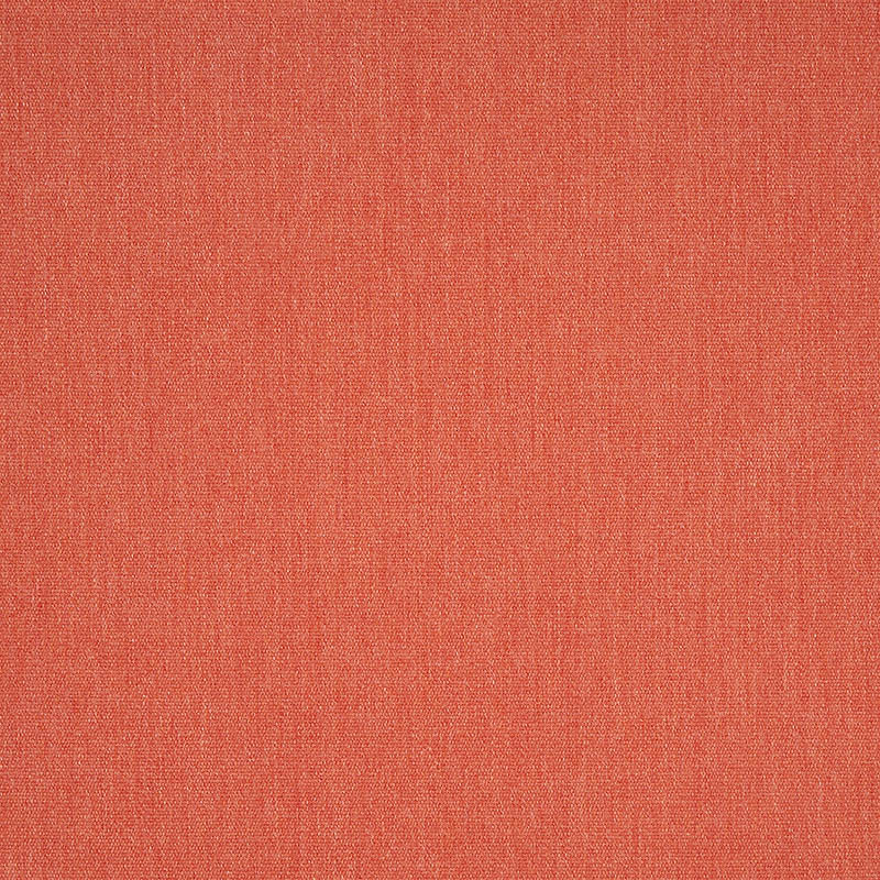 Canvas Persimmon