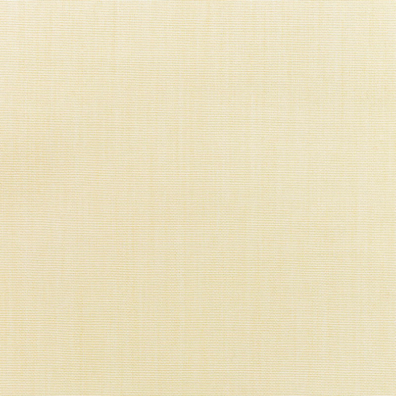 Canvas Vellum