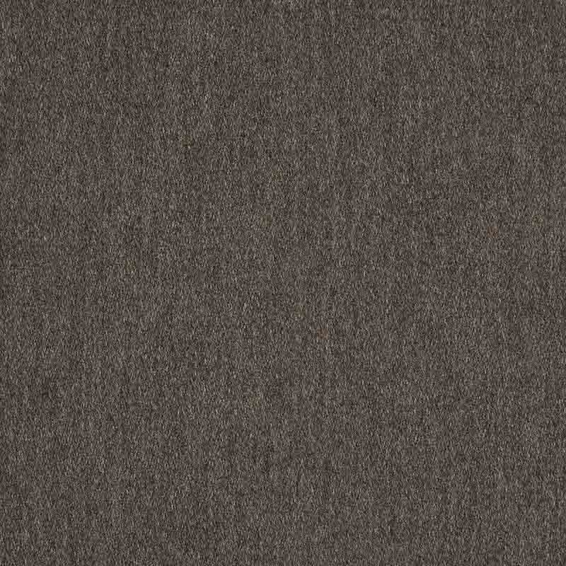Pashmina Coal