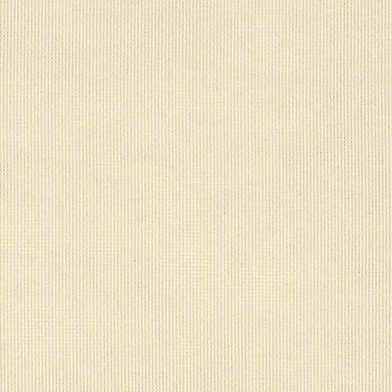 Shadow Snow
