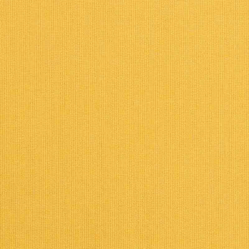 Spectrum Daffodil