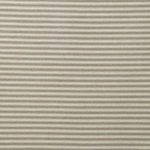 Everlast Stripe Greige
