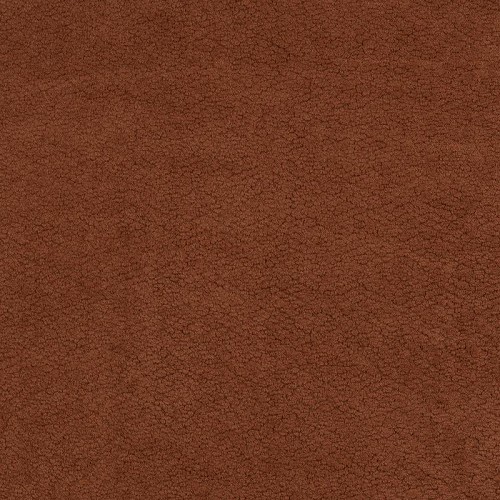Dapple Rust 