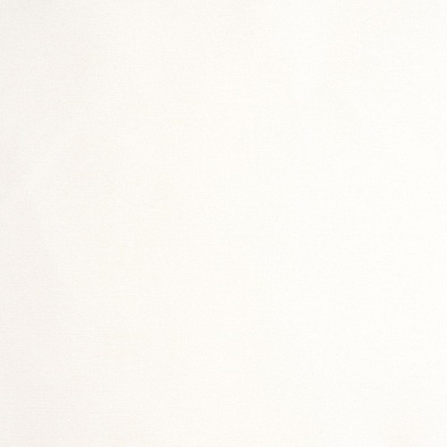 Silver Ion White 