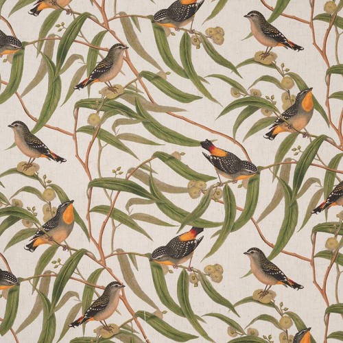 Songbirds 
