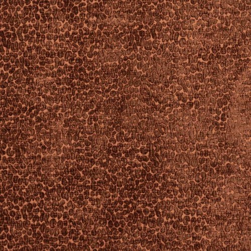 Spotted Rustic 
